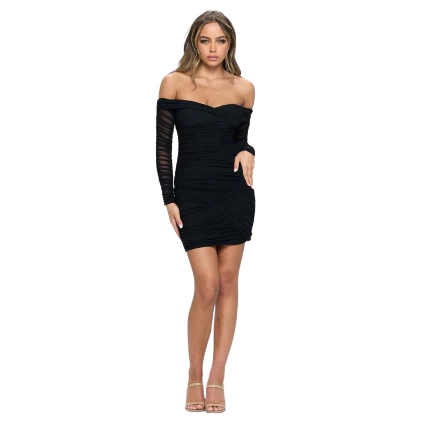 Black Ruched mesh off the shoulder bodycon mini dress with long sleeves, an asymmetrical cut, and back invisible zipper.